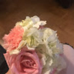 Meet your Posher, Tinatin